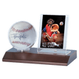 Baseball & Card Wood Display Holder - E - 81674 - Ultra PRO - Ultra PRO International