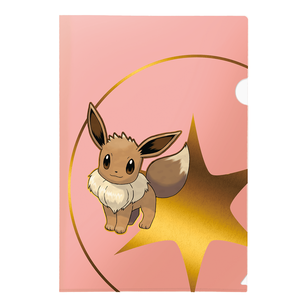 PokÃ©mon Tournament Folios 3 Pack - Psyduck, Eevee, and Dragonite - E - 16403 - Ultra PRO - Ultra PRO International